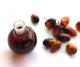 What Are The Benefits Of Organic Palm Kernel Oil
